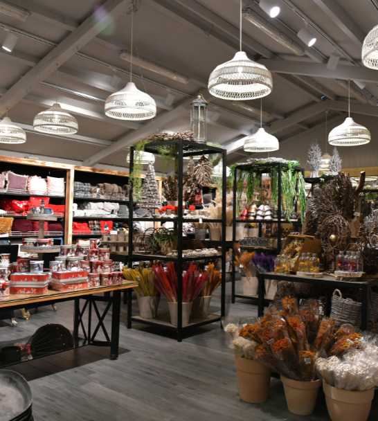 REXIM - local-commercial-a-louer-magasin-location-rexim-immobilier-entreprise-conseil-immo-profession-activite-commerciale